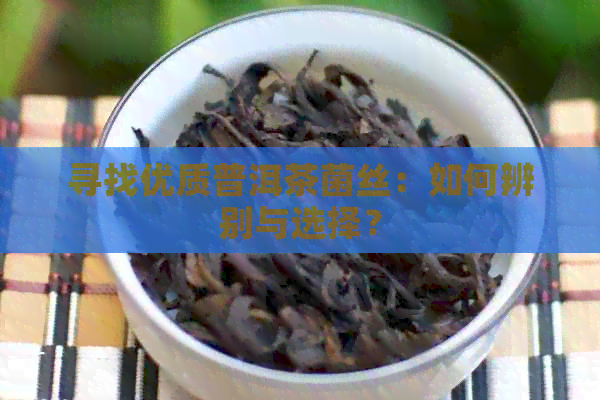 寻找优质普洱茶菌丝：如何辨别与选择？