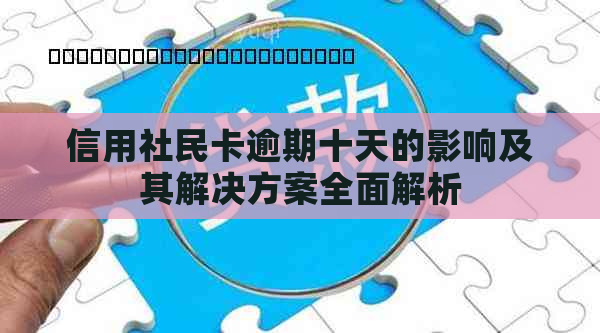 信用社民卡逾期十天的影响及其解决方案全面解析