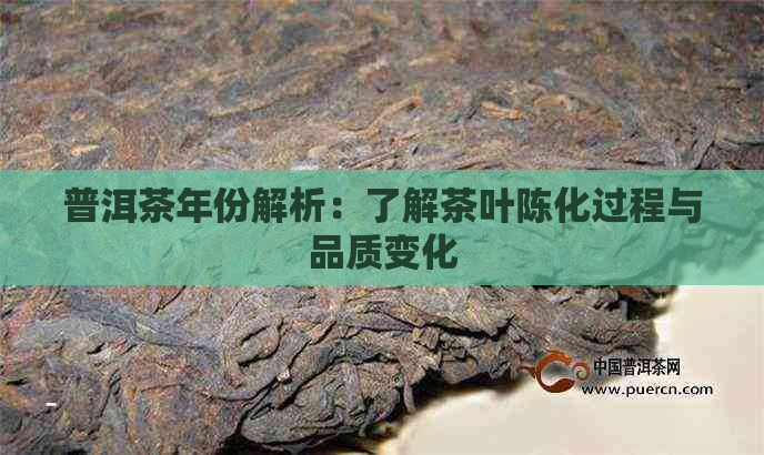 普洱茶年份解析：了解茶叶陈化过程与品质变化