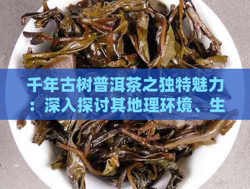 千年古树普洱茶之独特魅力：深入探讨其地理环境、生长历程与品质特点