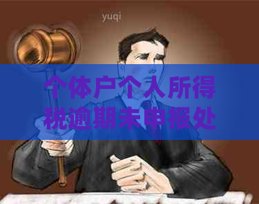 个体户个人所得税逾期未申报处理方法及罚款情况