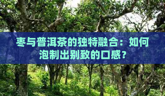 枣与普洱茶的独特融合：如何泡制出别致的口感？