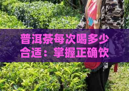 普洱茶每次喝多少合适：掌握正确饮用量，享受茶香健生活