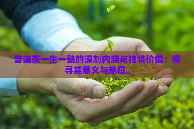 普洱茶一生一熟的深刻内涵与独特价值：探寻其意义与象征。