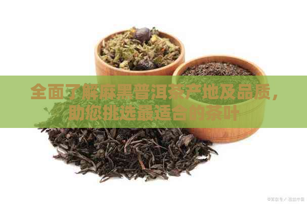 全面了解麻黑普洱茶产地及品质，助您挑选最适合的茶叶