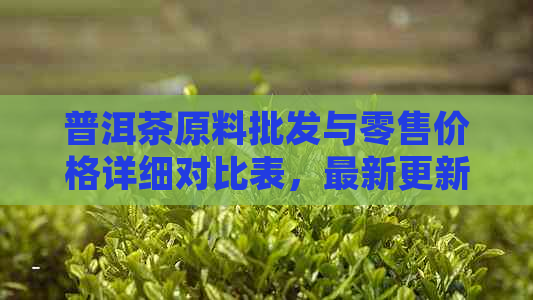 普洱茶原料批发与零售价格详细对比表，最新更新！