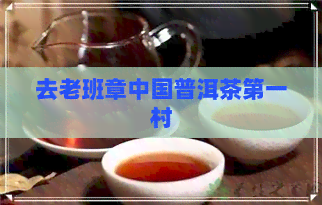 去老班章中国普洱茶之一村