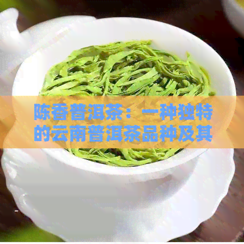 陈香普洱茶：一种独特的云南普洱茶品种及其品质特点详解