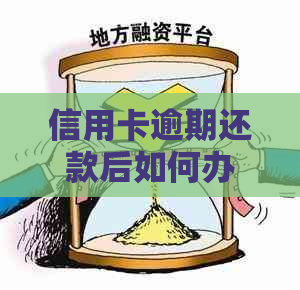 信用卡逾期还款后如何办理分期？账单显示异常怎么办？