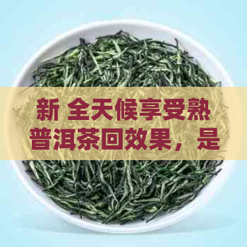 新 全天候享受熟普洱茶回效果，是否可行？