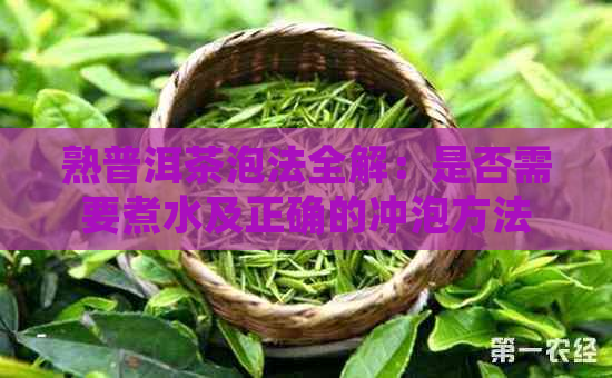 熟普洱茶泡法全解：是否需要煮水及正确的冲泡方法