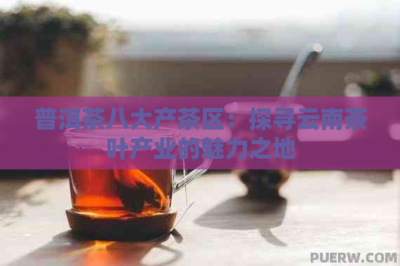 普洱茶八大产茶区：探寻云南茶叶产业的魅力之地