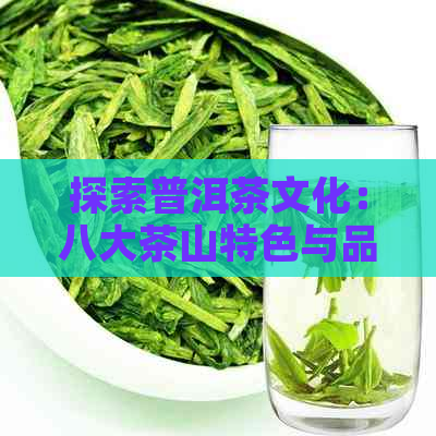 探索普洱茶文化：八大茶山特色与品种概述