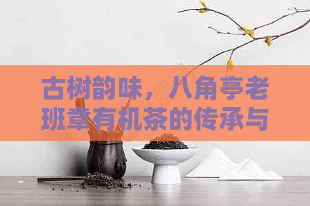 古树韵味，八角亭老班章有机茶的传承与创新