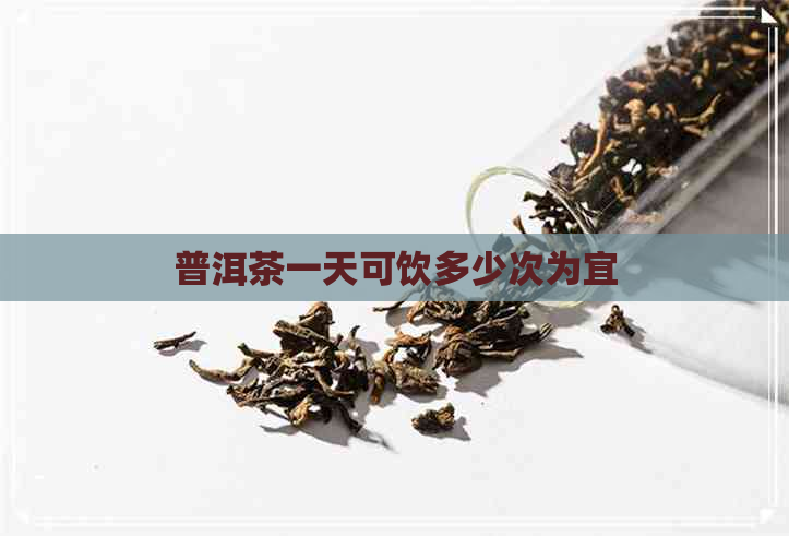 普洱茶一天可饮多少次为宜