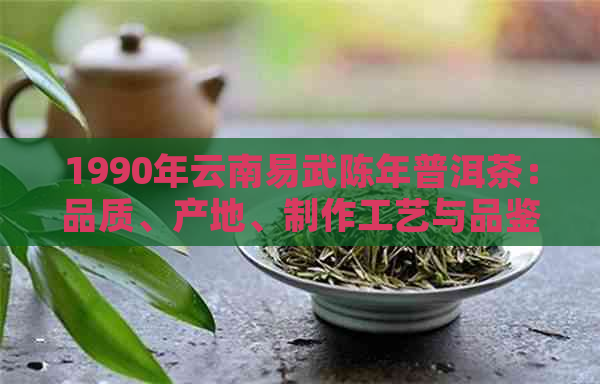 1990年云南易武陈年普洱茶：品质、产地、制作工艺与品鉴方法全方位解析