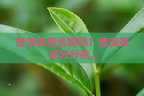 普洱茶里含糖吗？普洱茶成分分析。