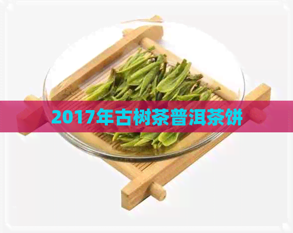 2017年古树茶普洱茶饼