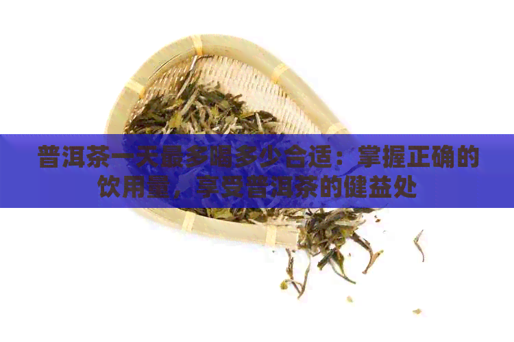 普洱茶一天最多喝多少合适：掌握正确的饮用量，享受普洱茶的健益处