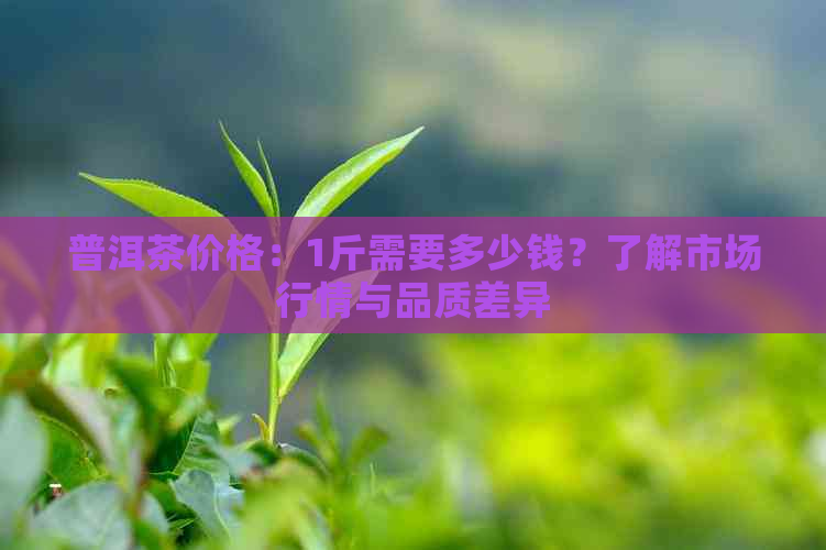 普洱茶价格：1斤需要多少钱？了解市场行情与品质差异