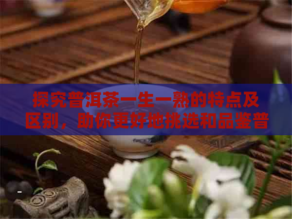 探究普洱茶一生一熟的特点及区别，助你更好地挑选和品鉴普洱茶