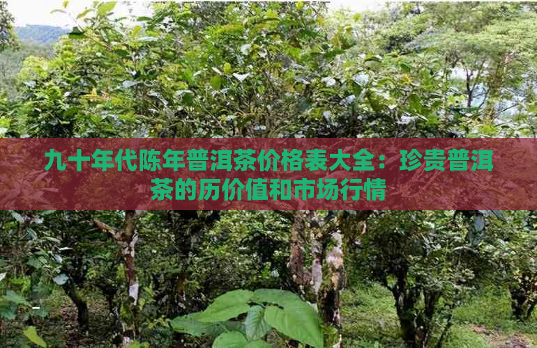 九十年代陈年普洱茶价格表大全：珍贵普洱茶的历价值和市场行情