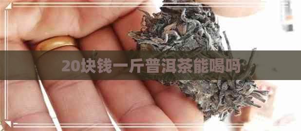 20块钱一斤普洱茶能喝吗