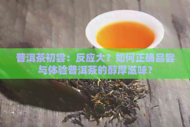 普洱茶初尝：反应大？如何正确品尝与体验普洱茶的醇厚滋味？