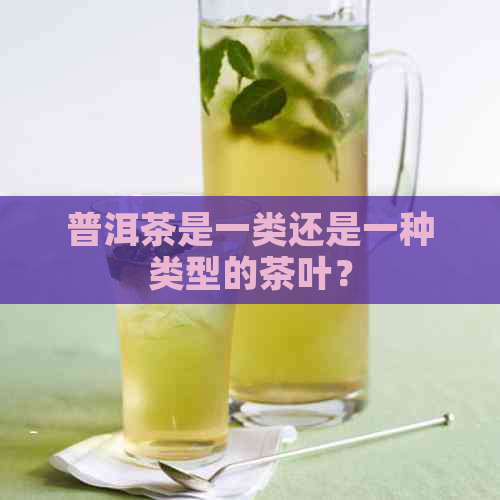 普洱茶是一类还是一种类型的茶叶？