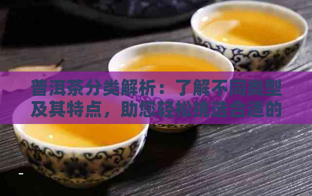 普洱茶分类解析：了解不同类型及其特点，助您轻松挑选合适的茶叶