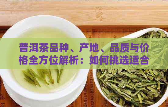 普洱茶品种、产地、品质与价格全方位解析：如何挑选适合您的普洱茶？