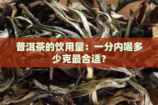 普洱茶的饮用量：一分内喝多少克最合适？