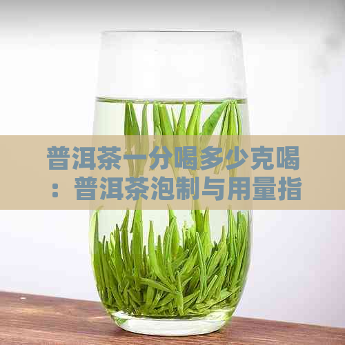 普洱茶一分喝多少克喝：普洱茶泡制与用量指南