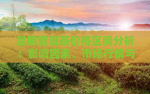 昆明普洱茶价格区间分析：影响因素、市场行情与消费者关注度