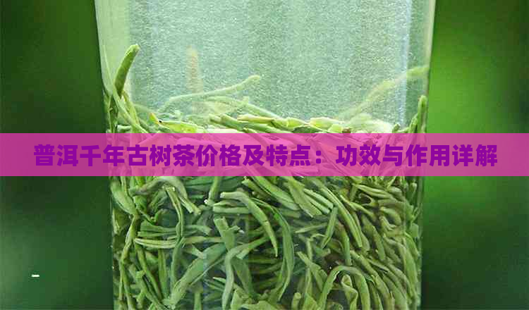 普洱千年古树茶价格及特点：功效与作用详解