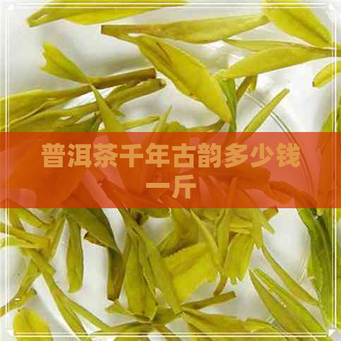 普洱茶千年古韵多少钱一斤