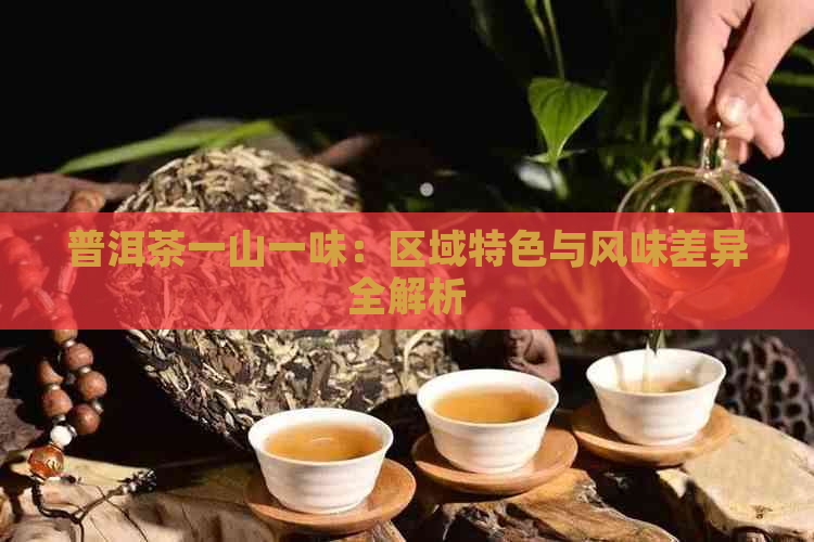 普洱茶一山一味：区域特色与风味差异全解析