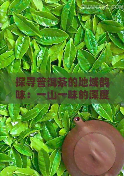 探寻普洱茶的地域韵味：一山一味的深度解读