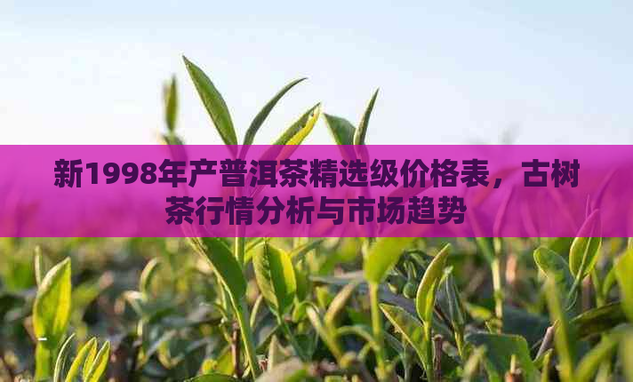 新1998年产普洱茶精选级价格表，古树茶行情分析与市场趋势