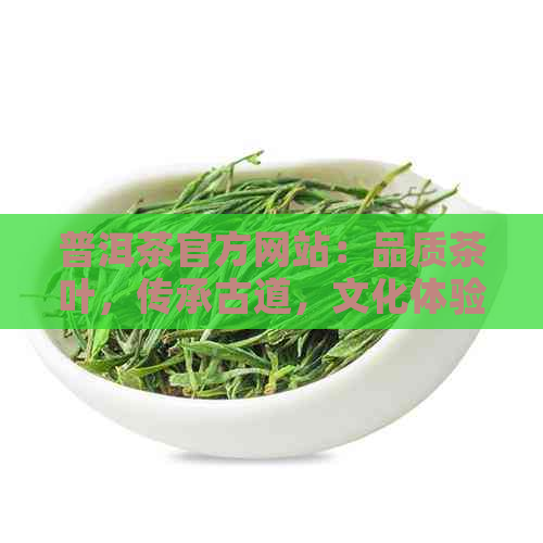 普洱茶官方网站：品质茶叶，传承古道，文化体验