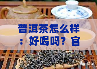 普洱茶怎么样：好喝吗？官网与价格表一览