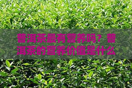 普洱茶最有营养吗？普洱茶的营养价值是什么？