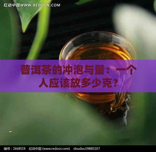 普洱茶的冲泡与量：一个人应该放多少克？