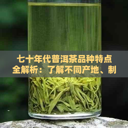 七十年代普洱茶品种特点全解析：了解不同产地、制作工艺与口感的经典之作