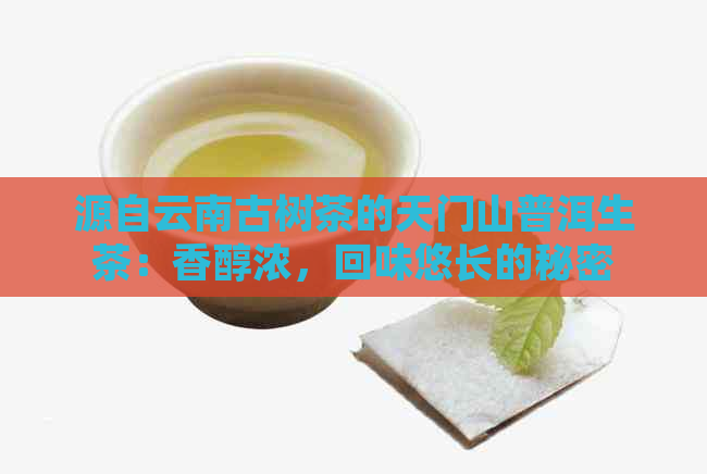 源自云南古树茶的天门山普洱生茶：香醇浓，回味悠长的秘密