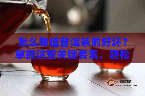 怎么知道普洱茶的好坏？掌握这些关键要素，轻松鉴别优质普洱茶