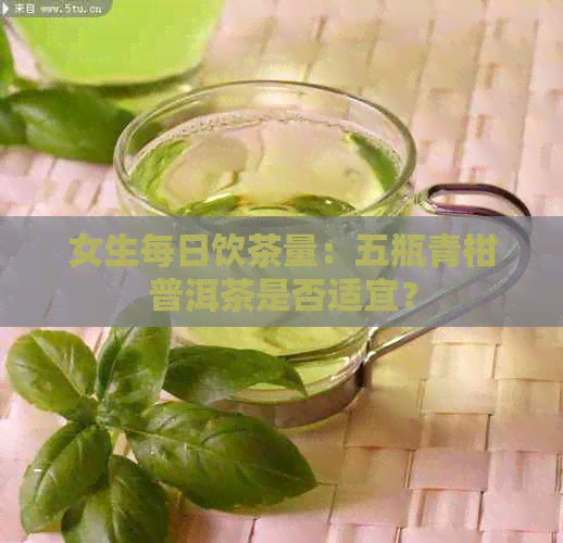 女生每日饮茶量：五瓶青柑普洱茶是否适宜？