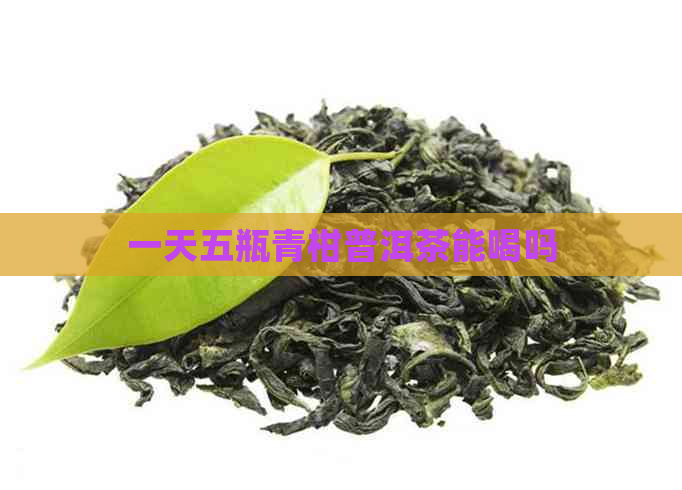 一天五瓶青柑普洱茶能喝吗