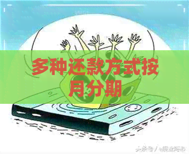 多种还款方式按月分期