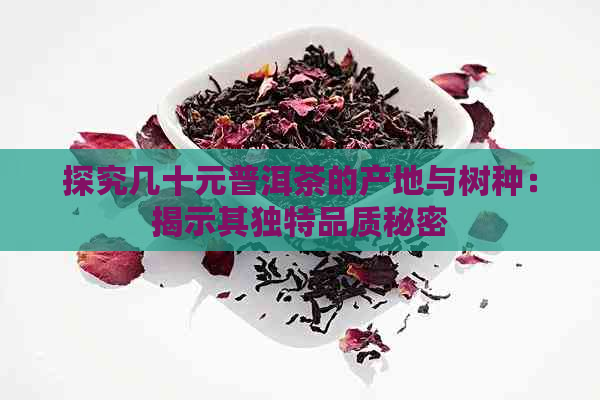 探究几十元普洱茶的产地与树种：揭示其独特品质秘密